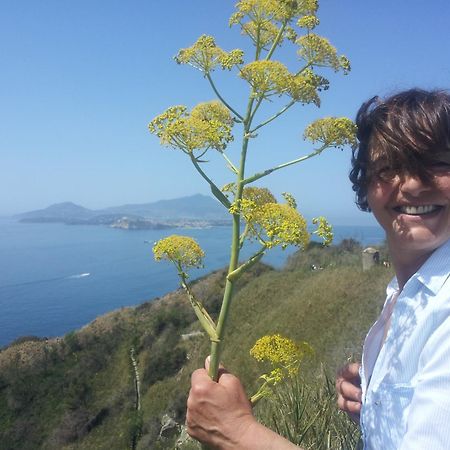 Mary'S Dream - Villa Overlooking Capri And Ischia In Sorrento Peninsula Massa Lubrense Kültér fotó